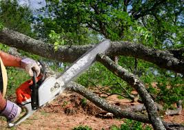 Best Lot and Land Clearing  in Bossier City, LA